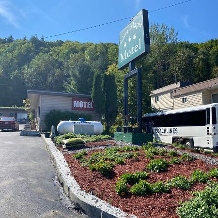 Silver Maple Motel Haliburton Luaran gambar