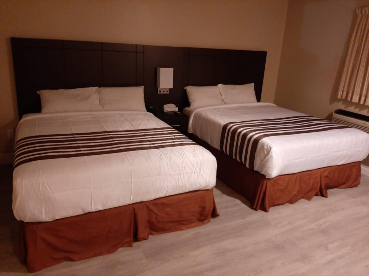 Silver Maple Motel Haliburton Luaran gambar